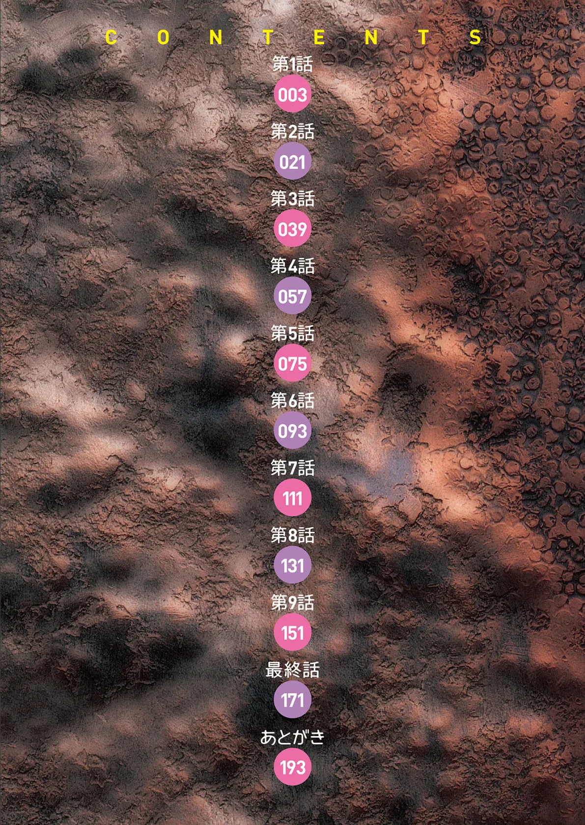 本日も母と妹の調教日和 2ページ