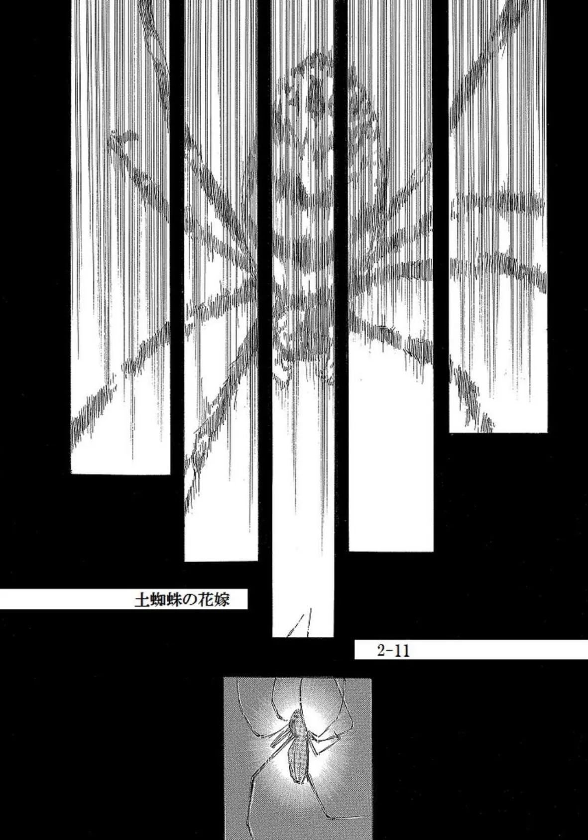 土蜘蛛の花嫁 第二章 2-11 2ページ