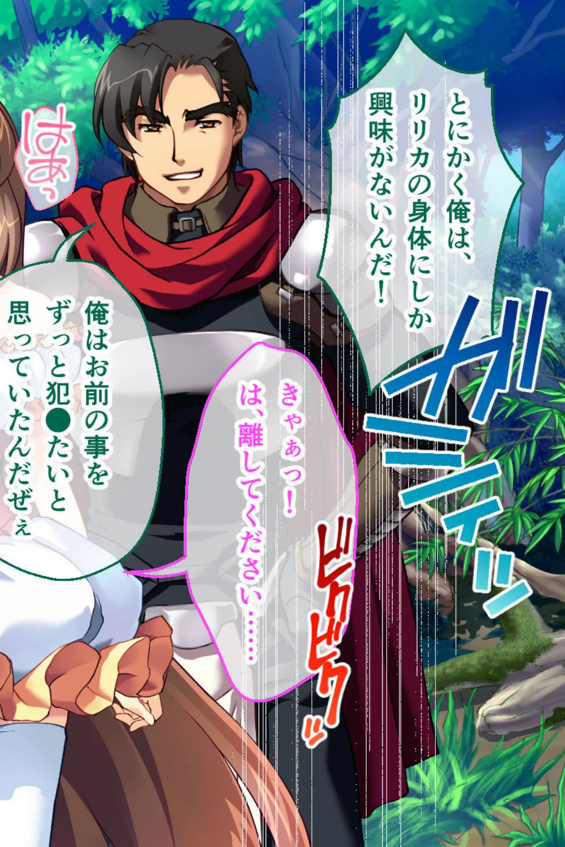 魔法神姫リリカ CGノベル版 総集編 〜快楽調教で淫乱堕ち!? 敗北ヒロイン恥辱のNTRセックス!〜 13ページ