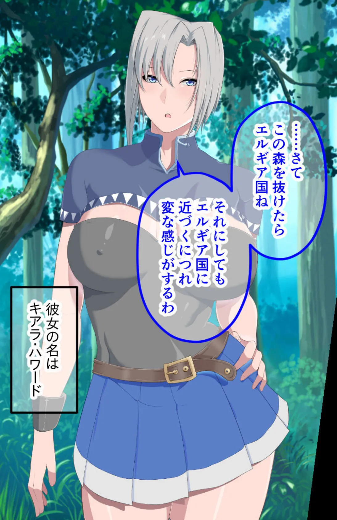 女魔法剣士と転生エルフの性受難 〜徹底的に可愛がるけど…壊れないでね?〜【CG集コレクション ミニ】 6ページ