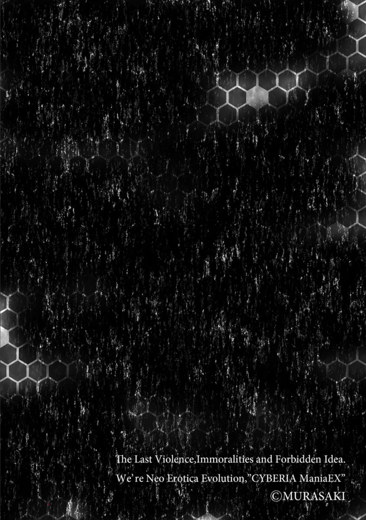 せいこうのほうしゅう 2ページ