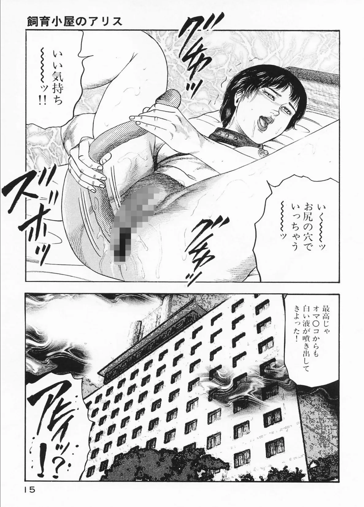 菜美の性愛日記2処女奴●化計画編＜お宝原画入り特別版＞・三条友美アンソロジー10 15ページ