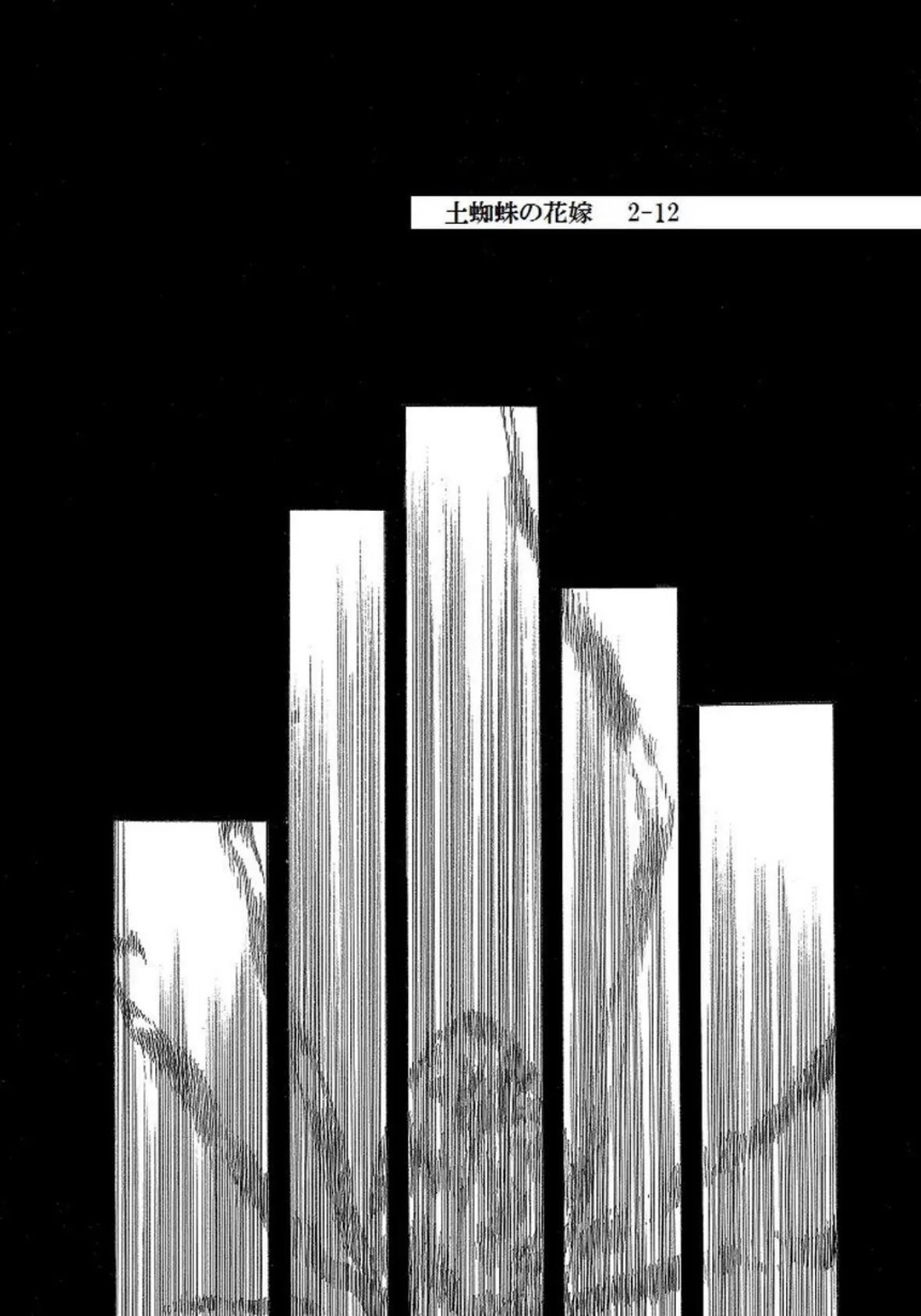 土蜘蛛の花嫁 第二章 2-12 2ページ