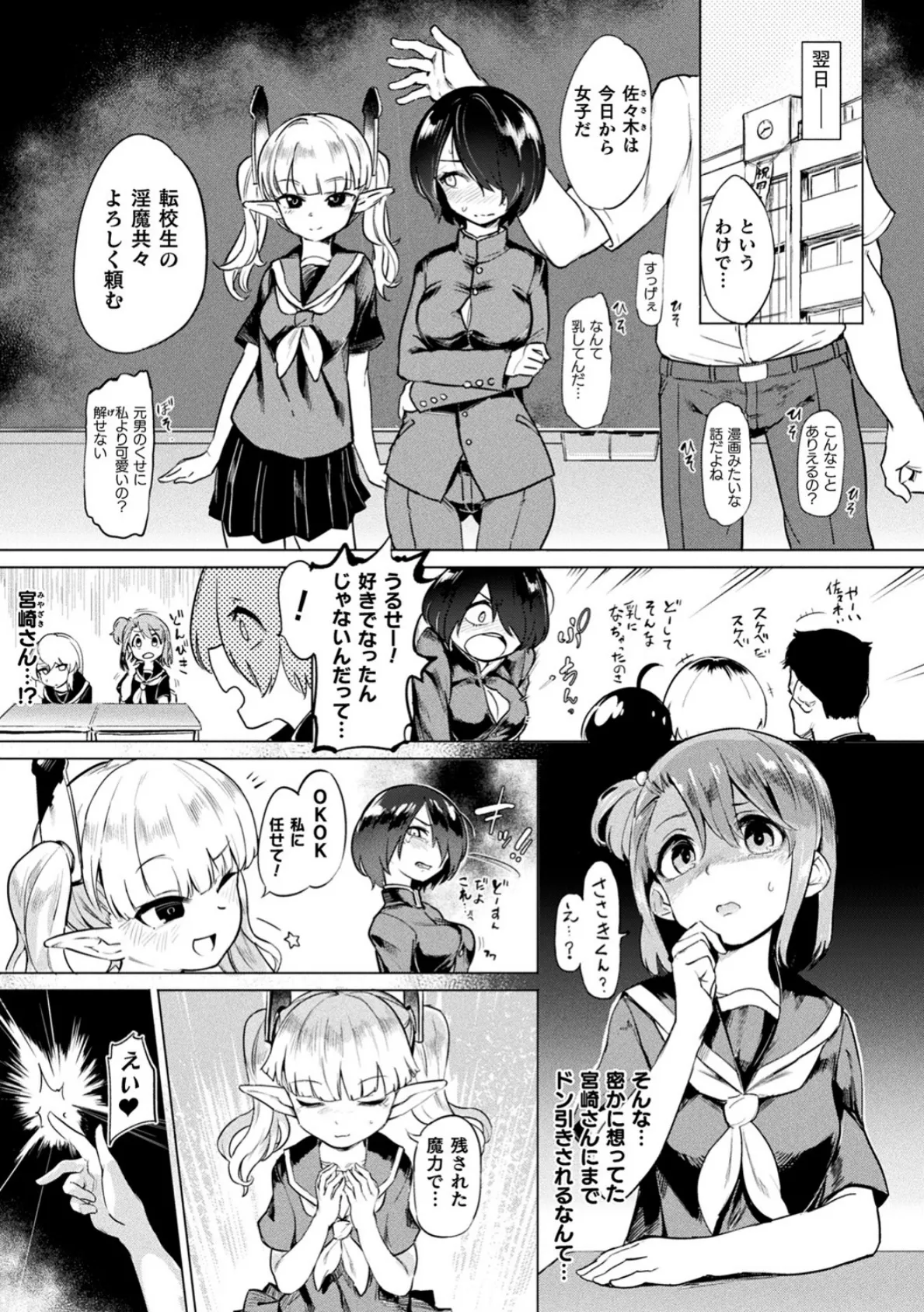 サキュバスちゃんと邪悪なふたなり元カノ軍団【電子書籍限定版イラストラフ集&解説付き】 21ページ