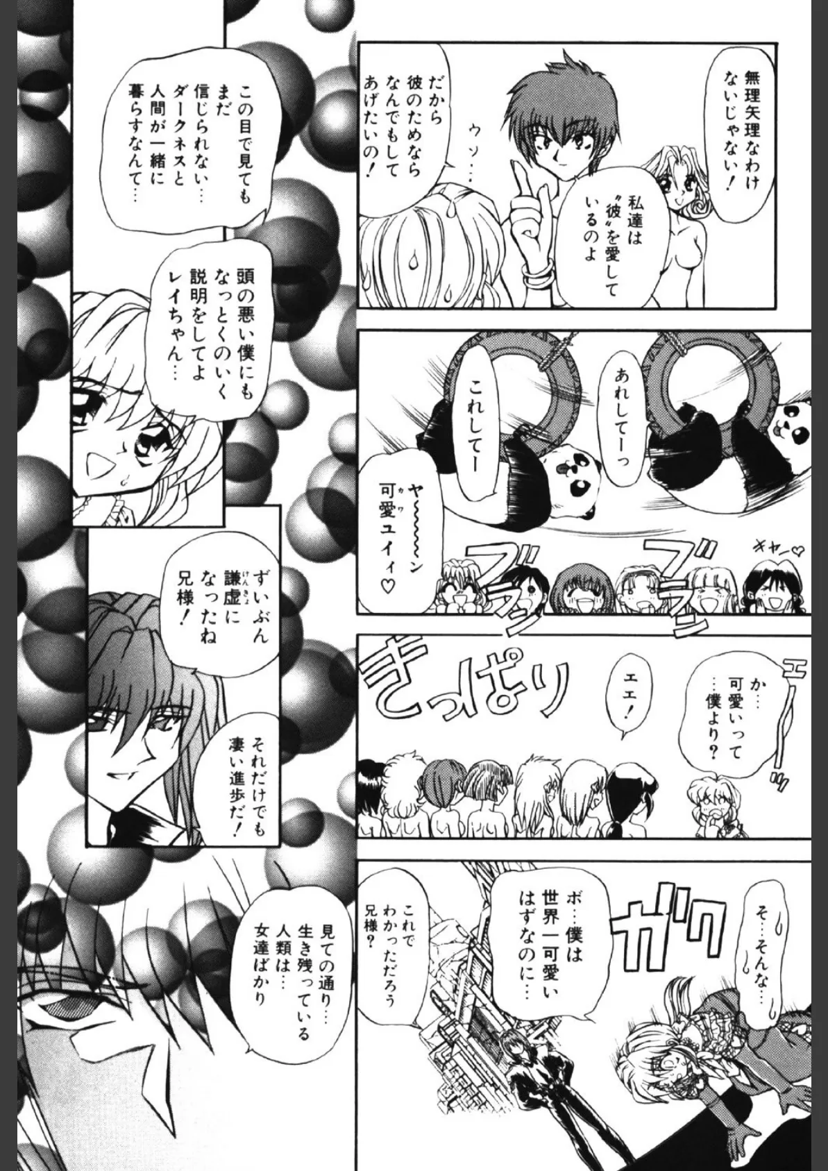 シャレーダー 3 9ページ